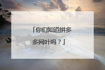 你们知道拼多多网叶吗?