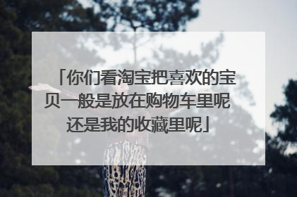 你们看淘宝把喜欢的宝贝一般是放在购物车里呢还是我的收藏里呢