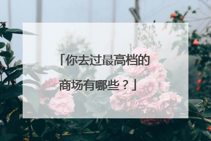 你去过最高档的商场有哪些?