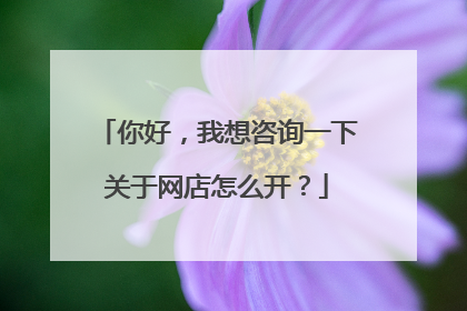 你好,我想咨询一下关于网店怎么开?