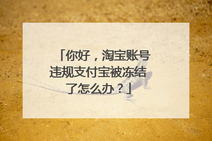 你好,淘宝账号违规支付宝被冻结了怎么办?