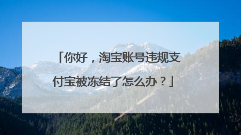 你好,淘宝账号违规支付宝被冻结了怎么办?