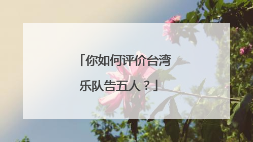 你如何评价台湾乐队告五人?