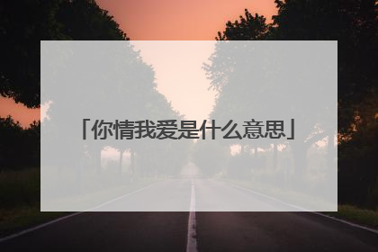你情我爱是什么意思