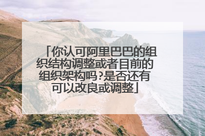 你认可阿里巴巴的组织结构调整或者目前的组织架构吗?是否还有可以改良或调整