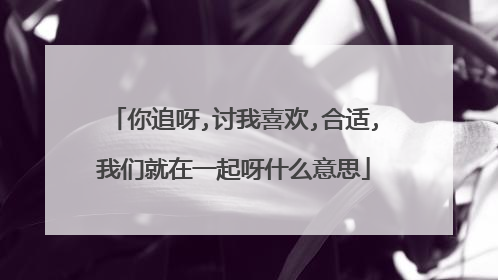 你追呀,讨我喜欢,合适,我们就在一起呀什么意思