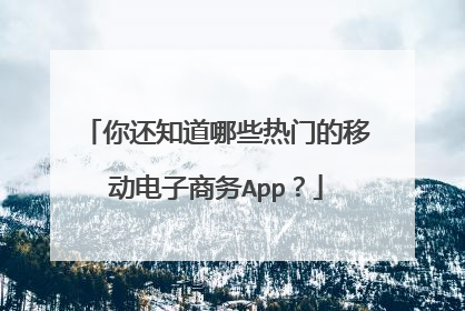 你还知道哪些热门的移动电子商务App?