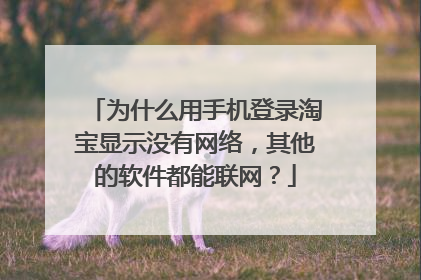 为什么用手机登录淘宝显示没有网络,其他的软件都能联网?