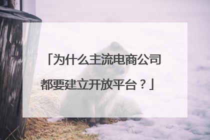 为什么主流电商公司都要建立开放平台?