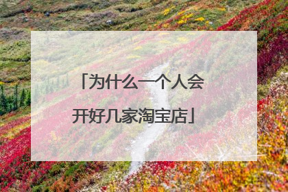 为什么一个人会开好几家淘宝店
