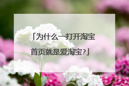 为什么一打开淘宝首页就是爱淘宝?