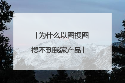 为什么以图搜图搜不到我家产品