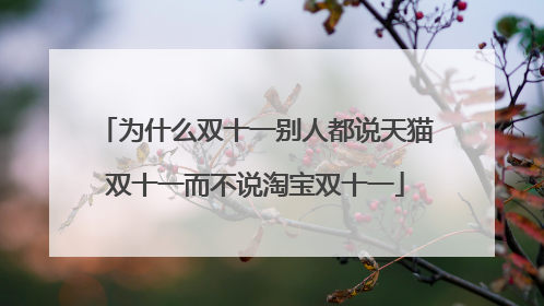 为什么双十一别人都说天猫双十一而不说淘宝双十一