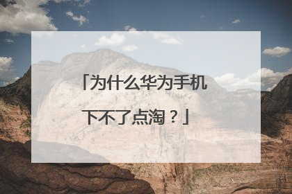 为什么华为手机下不了点淘?