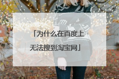 为什么在百度上无法搜到淘宝网
