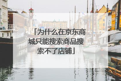 为什么在京东商城只能搜索商品搜索不了店铺