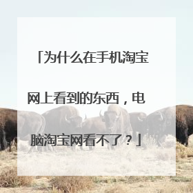为什么在手机淘宝网上看到的东西,电脑淘宝网看不了?