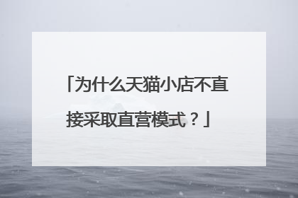为什么天猫小店不直接采取直营模式?