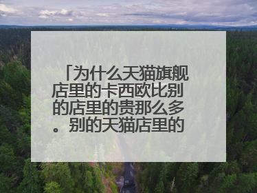 为什么天猫旗舰店里的卡西欧比别的店里的贵那么多。别的天猫店里的是真的吗?