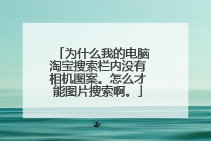 为什么我的电脑淘宝搜索栏内没有相机图案。怎么才能图片搜索啊。