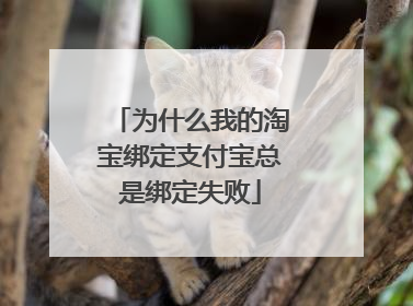 为什么我的淘宝绑定支付宝总是绑定失败