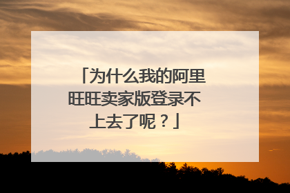 为什么我的阿里旺旺卖家版登录不上去了呢?