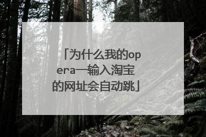 为什么我的opera一输入淘宝的网址会自动跳