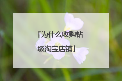 为什么收购钻级淘宝店铺