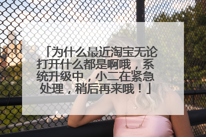 为什么最近淘宝无论打开什么都是啊哦，系统升级中，小二在紧急处理，稍后再来哦！
