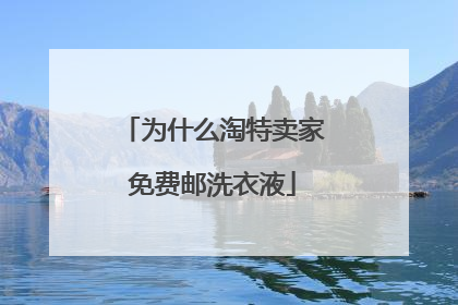 为什么淘特卖家免费邮洗衣液
