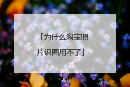 为什么淘宝照片识图用不了