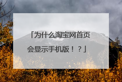 为什么淘宝网首页会显示手机版!?