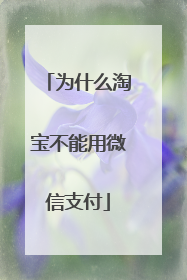 为什么淘宝不能用微信支付