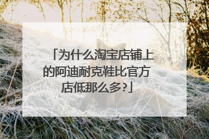为什么淘宝店铺上的阿迪耐克鞋比官方店低那么多?