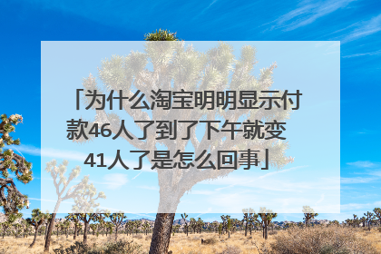 为什么淘宝明明显示付款46人了到了下午就变41人了是怎么回事