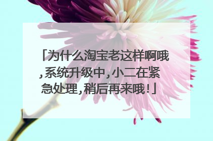 为什么淘宝老这样啊哦,系统升级中,小二在紧急处理,稍后再来哦!