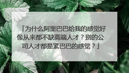 为什么阿里巴巴给我的感觉好像从来都不缺高端人才?别的公司人才都是紧巴巴的感觉?