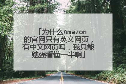 为什么Amazon的官网只有英文网页,有中文网页吗,我只能勉强看懂一半啊