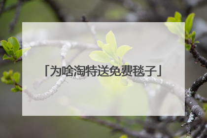 为啥淘特送免费毯子