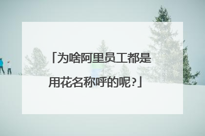 为啥阿里员工都是用花名称呼的呢?