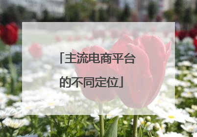 主流电商平台的不同定位