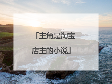 主角是淘宝店主的小说