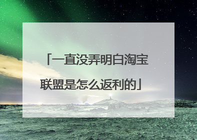 一直没弄明白淘宝联盟是怎么返利的