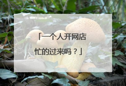 一个人开网店忙的过来吗?