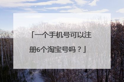 一个手机号可以注册6个淘宝号吗?