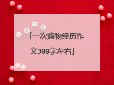 一次购物经历作文300字左右