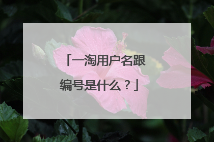 一淘用户名跟编号是什么？
