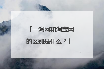 一淘网和淘宝网的区别是什么?