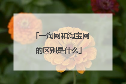 一淘网和淘宝网的区别是什么