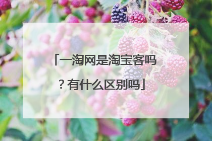 一淘网是淘宝客吗?有什么区别吗